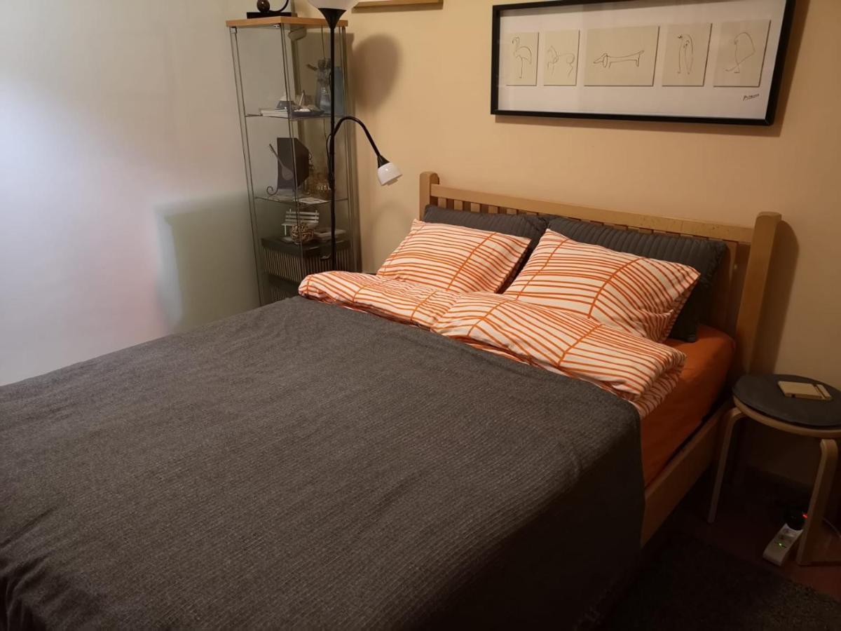 Lisinski S Apartment Zagreb