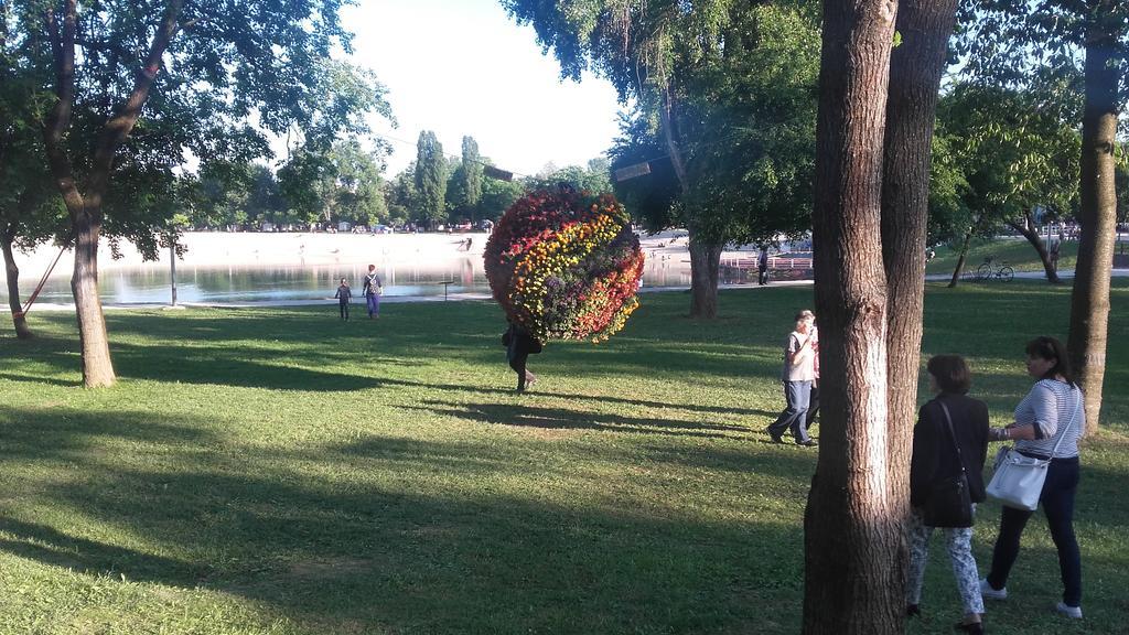 Lisinski S *